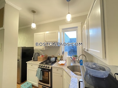 Allston Apartment for rent 1 Bedroom 1 Bath Boston - $3,050