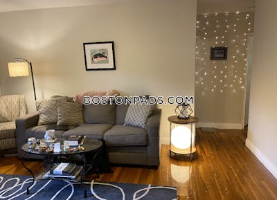 Brighton Apartment for rent 2 Bedrooms 1 Bath Boston - $2,900