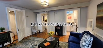 Fort Hill Newley Renovated 3 bed 3 Bath in on Dudley Street in Brighton Boston - $2,250