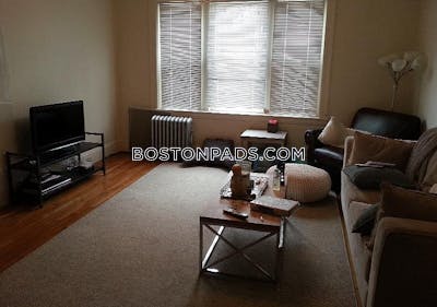 Brookline Apartment for rent 3 Bedrooms 1 Bath  Boston University - $4,800