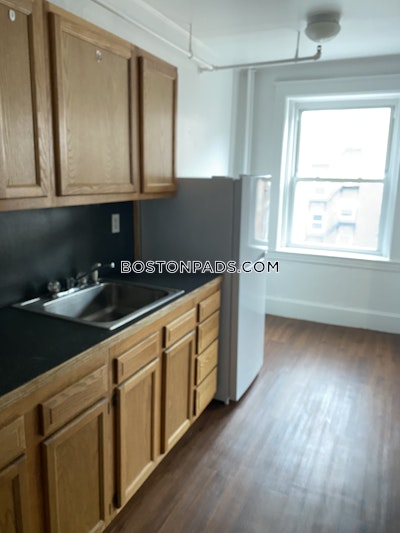 Brighton Apartment for rent 1 Bedroom 1 Bath Boston - $2,345 No Fee