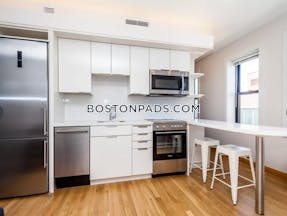 Cambridge 1 Bed 1 Bath  Harvard Square - $3,175 No Fee