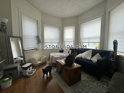 Allston/brighton Border Apartment for rent 2 Bedrooms 1 Bath Boston - $2,450