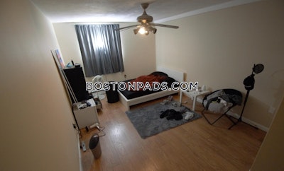 Allston Apartment for rent 1 Bedroom 1 Bath Boston - $2,350