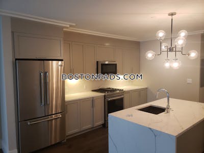 Brighton Brand NEW 2.5 Bed 2 Bath BOSTON Boston - $3,595 No Fee