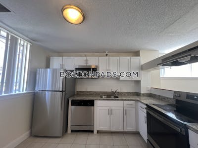 Allston Apartment for rent 2 Bedrooms 2 Baths Boston - $3,300 No Fee