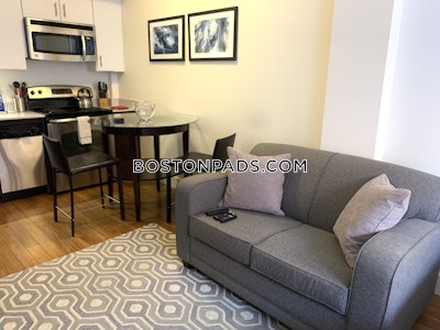 Downtown Beautiful Studio 1 Bath Boston - $2,650 No Fee
