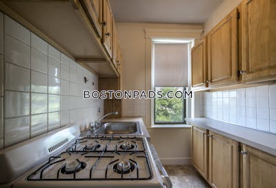Allston Apartment for rent 1 Bedroom 1 Bath Boston - $2,450 No Fee