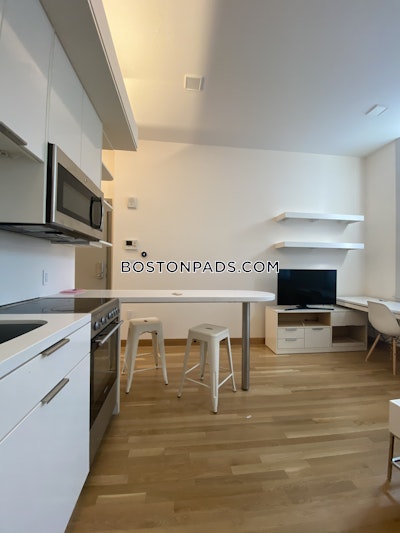 Cambridge Apartment for rent Studio 1 Bath  Harvard Square - $3,200 No Fee