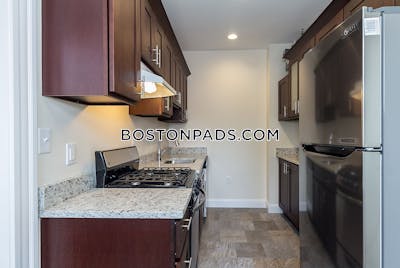 Allston Apartment for rent 1 Bedroom 1 Bath Boston - $3,095