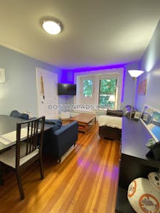 Brookline Apartment for rent 2 Bedrooms 1 Bath Coolidge Corner - $3,800 50% Fee