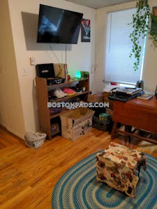 Brighton 1 Bed 1 Bath Boston - $1,995