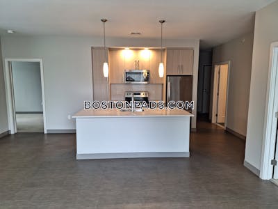 Jamaica Plain Apartment for rent 2 Bedrooms 1 Bath Boston - $5,075