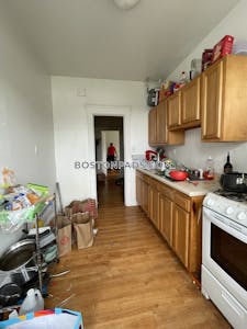 Brighton Apartment for rent 1 Bedroom 1 Bath Boston - $2,485 No Fee
