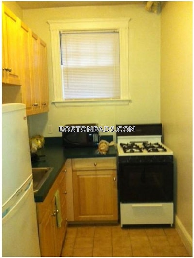 Brighton Apartment for rent Studio 1 Bath Boston - $1,900