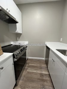 Jamaica Plain Apartment for rent 2 Bedrooms 1 Bath Boston - $3,000 No Fee