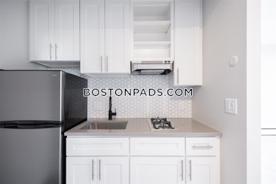 South End Apartment for rent Studio 1 Bath Boston - $2,650