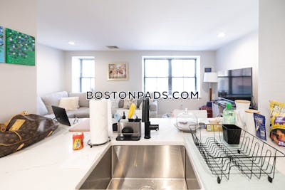 South End 1 bedroom 1 baths in BOSTON Boston - $3,250
