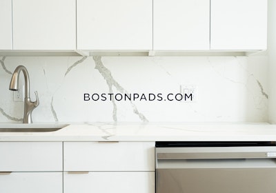 Brighton Apartment for rent Studio 1 Bath Boston - $3,025 No Fee