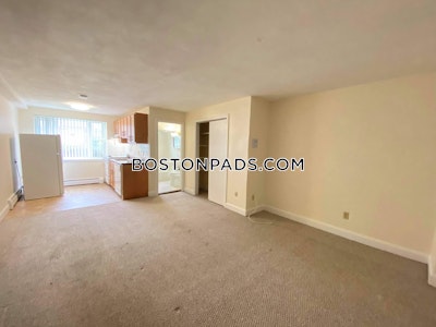 Arlington Apartment for rent Studio 1 Bath - $1,800 No Fee