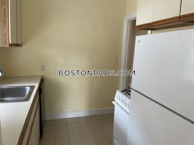 Brighton Apartment for rent 1 Bedroom 1 Bath Boston - $2,385 No Fee