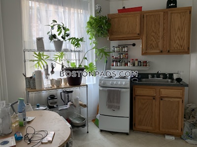 Allston Apartment for rent Studio 1 Bath Boston - $1,995 50% Fee