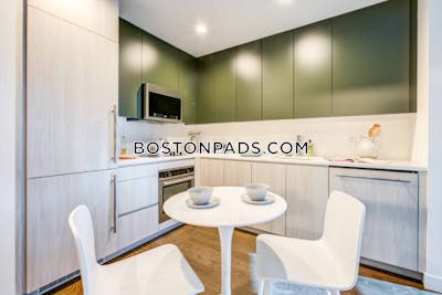 Fenway/kenmore Studio  baths Luxury in BOSTON Boston - $3,911