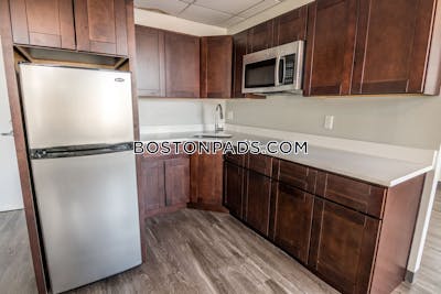 Worcester Apartment for rent 1 Bedroom 1 Bath - $1,580 No Fee