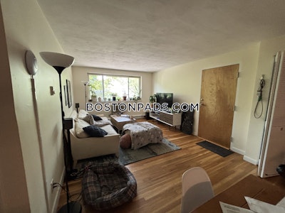 Brighton Nice 2 Bed 1 Bath available on Englewood Ave in Brighton Boston - $3,000 No Fee