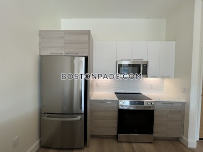 Allston Apartment for rent 2 Bedrooms 2 Baths Boston - $4,150 No Fee