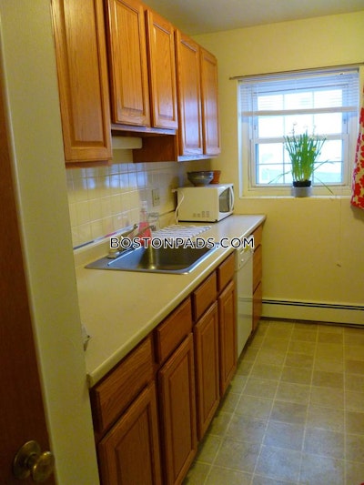 Arlington Apartment for rent 1 Bedroom 1 Bath - $2,075 No Fee