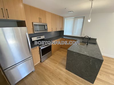 Allston Apartment for rent 2 Bedrooms 2 Baths Boston - $5,100