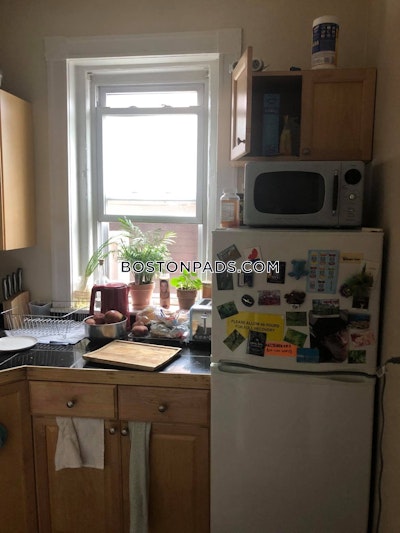 Allston Apartment for rent 1 Bedroom 1 Bath Boston - $2,900