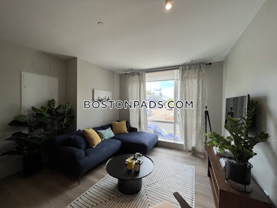 Brighton Apartment for rent 1 Bedroom 1 Bath Boston - $2,955