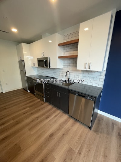 Allston 1 bedroom  Luxury in BOSTON Boston - $4,221 No Fee