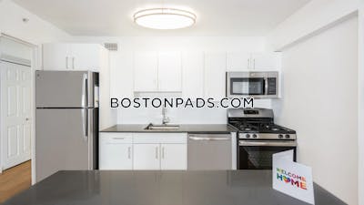 West End Apartment for rent Studio 1 Bath Boston - $2,850