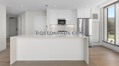 West End 2 bedroom 2 baths Luxury in BOSTON Boston - $5,410 No Fee