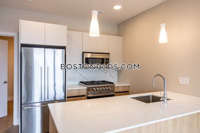 Brighton Apartment for rent 3 Bedrooms 2 Baths Boston - $4,800 No Fee