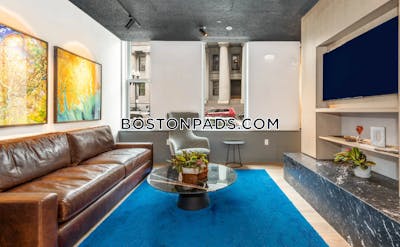 Downtown Apartment for rent 1 Bedroom 1 Bath Boston - $3,860