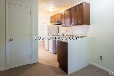 Acton 1 bedroom 1 baths Luxury in ACTON - $1,500 No Fee
