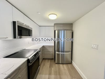 Allston Apartment for rent 2 Bedrooms 2.5 Baths Boston - $3,850 No Fee