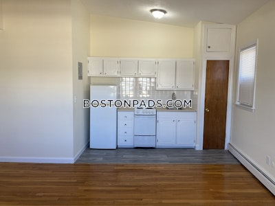 Allston/brighton Border Apartment for rent 1 Bedroom 1 Bath Boston - $2,400