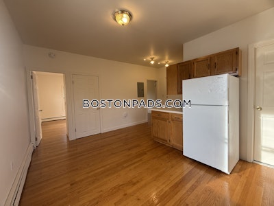 Brighton Apartment for rent 1 Bedroom 1 Bath Boston - $2,200 No Fee