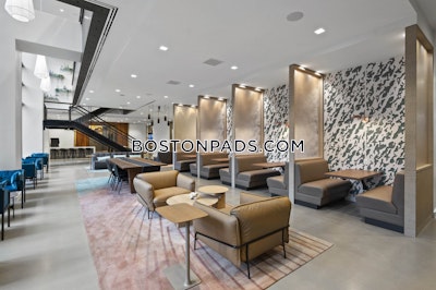 South End 1 bedroom 1 baths Luxury in BOSTON Boston - $4,786 No Fee